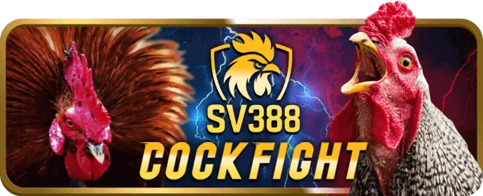 Hoàn Trả Cược J88DL